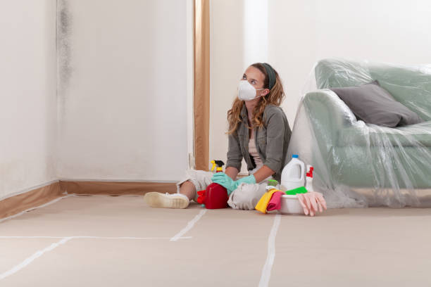 Reliable Mold Remediation contractor in Courtland, VA by Cheap Mold Removal